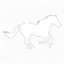 Ma Dai Ca Discord Bot Logo