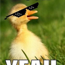 Quacky Beats Discord Bot Logo