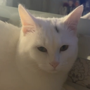 momochqn Discord Bot Logo