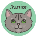 Junior the Cat Discord Bot Logo