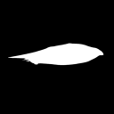 Falcon Discord Bot Logo