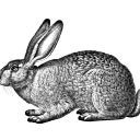 GameServ Discord Bot Logo