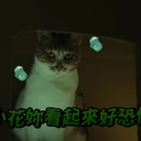猫猫GPT Discord Bot Logo