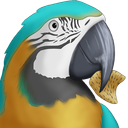 Salsa Chip Discord Bot Logo