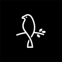 Gemini Discord Bot Logo