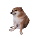 MemeSender Discord Bot Logo