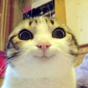 Meowmurrr Discord Bot Logo