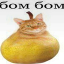 БОМБОМ БОТ Discord Bot Logo