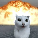 KITTAYYYYYYYY Discord Bot Logo