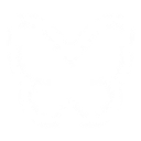 flaunt Discord Bot Logo
