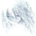 witness Discord Bot Logo