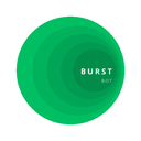 Burst Bot Discord Bot Logo