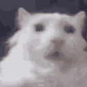 guh Discord Bot Logo
