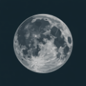 moon Discord Bot Logo