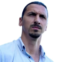 ibrahimović Discord Bot Logo