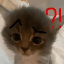 Project Cat Discord Bot Logo