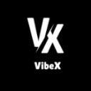 VibeX Discord Bot Logo