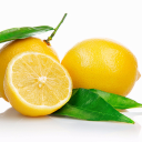LemonBot Discord Bot Logo