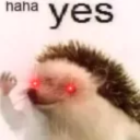 haha yes Discord Bot Logo