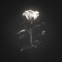 Luna Discord Bot Logo