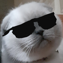 Fire-kedi Discord Bot Logo