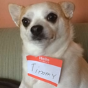 Logo for Timmy