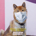 Tofu Chan (◕ᴗ◕✿) Discord Bot Logo