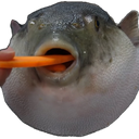 Puffer the Fish Discord Bot Logo