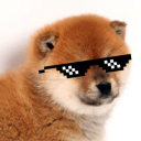 Dumb Bot Discord Bot Logo