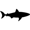 SharkBot Discord Bot Logo