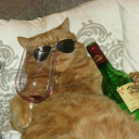 DrunkCat Discord Bot Logo