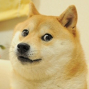 Doge Bot Discord Bot Logo