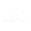 SGNK Music Discord Bot Logo