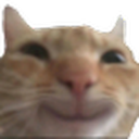 Catify Discord Bot Logo