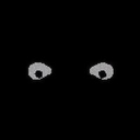 Inscribed Discord Bot Logo