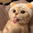 CatBot | ᓚᘏᗢ Discord Bot Logo