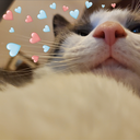 lovely Discord Bot Logo
