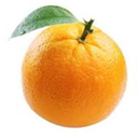 Orange Bot Discord Bot Logo
