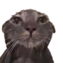 biji bot Discord Bot Logo