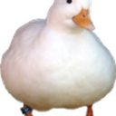 Ducky Discord Bot Logo