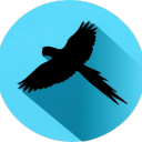 Parrot Discord Bot Logo