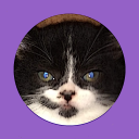 tooty Discord Bot Logo
