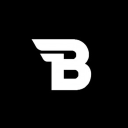 Bizon Discord Bot Logo