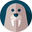 Walrus Discord Bot Logo