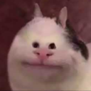 Tygo Bot Discord Bot Logo