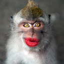LAUGH_MAMER Discord Bot Logo