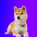 ShibaBot Discord Bot Logo