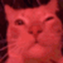 Strong cat Discord Bot Logo