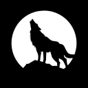 NightWolf Discord Bot Logo