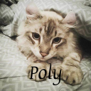Poly Discord Bot Logo